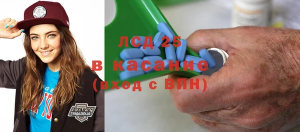 шишки Белоозёрский