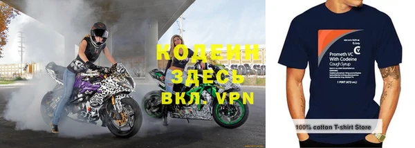 трава Белокуриха