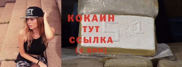 трава Белокуриха