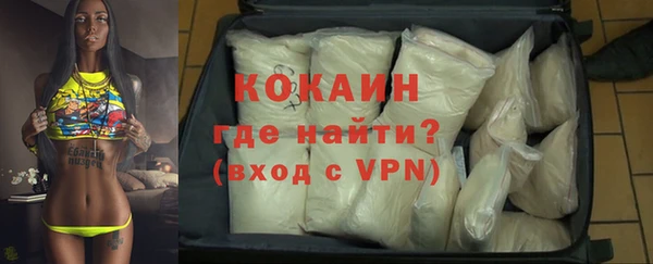 трава Белокуриха