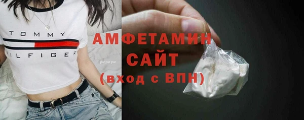 шишки Белоозёрский