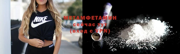 шишки Белоозёрский