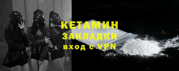 шишки Белоозёрский