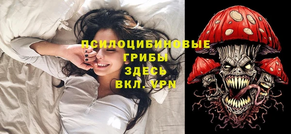 трава Белокуриха