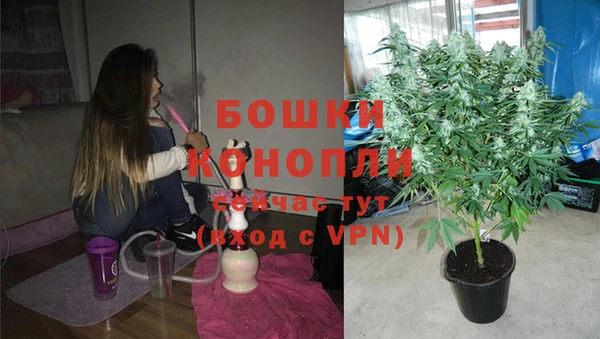 шишки Белоозёрский