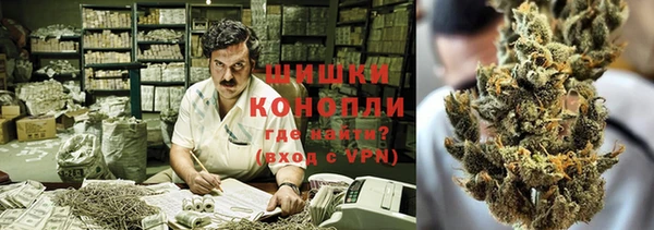 шишки Белоозёрский