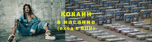 шишки Белоозёрский