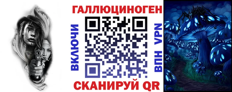 Галлюциногенные грибы Psilocybine cubensis  купить наркотики сайты  Кодинск 